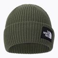 Kšiltovka The North Face Salty Dog zelená NF0A3FJWNYC1 2