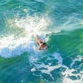 Aquatone Buzz 50" bodyboard 16