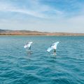 Křídlo pro Wingfoil Aztron Soar 4.0 Air  5