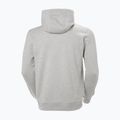 Pánská mikina Helly Hansen HH Logo Hoodie grey/melange 2