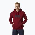 Pánská mikina s kapucí Helly Hansen HH Logo Hoodie vínová 33977_215