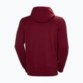 Pánská mikina s kapucí Helly Hansen HH Logo Hoodie vínová 33977_215 5