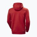 Pánská mikina Helly Hansen HH Logo Hoodie red 2