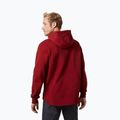 Pánská mikina s kapucí Helly Hansen Arctic Ocean Hoodie vínová 30361_215 2