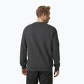 Pánská mikina Helly Hansen Arctic Ocean Sweater šedá 30364_980 2