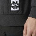 Pánská mikina Helly Hansen Arctic Ocean Sweater šedá 30364_980 3