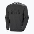 Pánská mikina Helly Hansen Arctic Ocean Sweater šedá 30364_980 4
