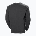 Pánská mikina Helly Hansen Arctic Ocean Sweater šedá 30364_980 5