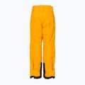 Dětské lyžařské kalhoty Helly Hansen Elements yellow 41765_328 2