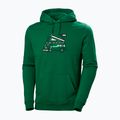 Pánská trekingová mikina Helly Hansen F2F Organic Cotton Hoodie 486 green 62934