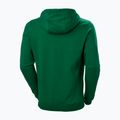 Pánská trekingová mikina Helly Hansen F2F Organic Cotton Hoodie 486 green 62934 2