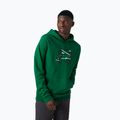 Pánská trekingová mikina Helly Hansen F2F Organic Cotton Hoodie 486 green 62934 3