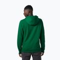 Pánská trekingová mikina Helly Hansen F2F Organic Cotton Hoodie 486 green 62934 4