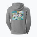 Pánská treková mikina Helly Hansen F2F Organic Cotton 855 šedá 62934 2