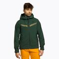 Pánská lyžařská bunda Helly Hansen Alpine Insulated zelená 65874_495