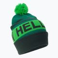 Helly Hansen Ridgeline čepice zelená 67150_495