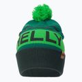 Helly Hansen Ridgeline čepice zelená 67150_495 2
