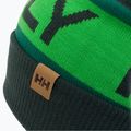 Helly Hansen Ridgeline čepice zelená 67150_495 3