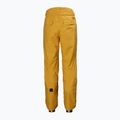 Pánské lyžařské kalhoty Helly Hansen Sogn Cargo žluté 65673_328 7