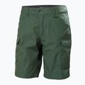 Helly Hansen pánské trekové šortky Vandre Cargo green 62699_476 5