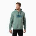 Pánská mikina Helly Hansen HH Logo Hoodie cactus