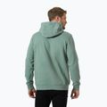 Pánská mikina Helly Hansen HH Logo Hoodie cactus 2