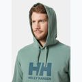 Pánská mikina Helly Hansen HH Logo Hoodie cactus 3