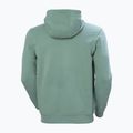 Pánská mikina Helly Hansen HH Logo Hoodie cactus 6