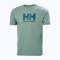 Pánské tričko   Helly Hansen HH Logo cactus 4