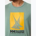 Pánské tričko  Helly Hansen HP Race Graphic cactus 3