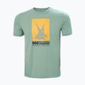Pánské tričko  Helly Hansen HP Race Graphic cactus 5