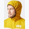 Pánská jachtařská bunda  Helly Hansen Salt Striped Windbreaker gold rush 3