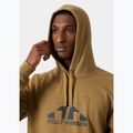 Pánská mikina Helly Hansen Nord Graphic Pull Over Hoodie lynx 3