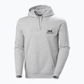 Pánská mikina Helly Hansen Nord Graphic Pull Over Hoodie grey melange 2