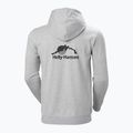 Pánská mikina Helly Hansen Nord Graphic Pull Over Hoodie grey melange 2 2