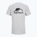 Pánské tričko Helly Hansen Nord Graphic grey melang 2