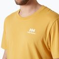 Pánské tričko Helly Hansen Nord Graphic sand 3