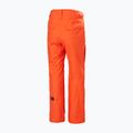 Pánské lyžařské kalhoty Helly Hansen Sogn Cargo cherry tomato 2