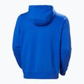 Pánská mikina Helly Hansen HH Logo Full Zip Hoodie 2.0 cobalt 2.0 Sweatshirt 5