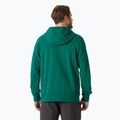 Pánská mikina Helly Hansen HH Logo Hoodie 2.0 emerald 2