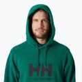 Pánská mikina Helly Hansen HH Logo Hoodie 2.0 emerald 3