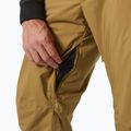 Pánské lyžařské kalhoty Helly Hansen Legendary Insulated lynx  4
