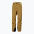 Pánské lyžařské kalhoty Helly Hansen Legendary Insulated lynx  5