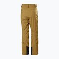 Pánské lyžařské kalhoty Helly Hansen Legendary Insulated lynx  6