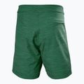 Pánské plavecké šortky Helly Hansen Newport Boardshorts 8" jungle green 2
