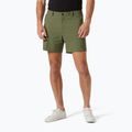 Trekingové šortky Helly Hansen Move Quick-Dry 6" lav green 