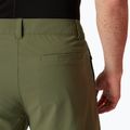 Trekingové šortky Helly Hansen Move Quick-Dry 6" lav green  4