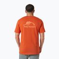 Pánské tričko Helly Hansen Nord Graphic patrol orange 2