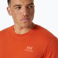 Pánské tričko Helly Hansen Nord Graphic patrol orange 3
