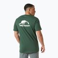 Pánské tričko Helly Hansen Nord Graphic jungle green 2